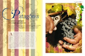 Patagônia - Os novos caminhos do vinho argentino