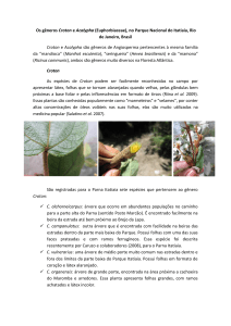 Os gêneros Croton e Acalypha (Euphorbiaceae), no