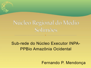 Sub-rede do Núcleo Executor INPA