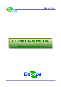 A CULTURA DA GRAVIOLEIRA (Annona