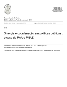 Sinergia e coordenação em políticas públicas : o caso