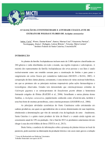 AVALIAÇÃO DA CITOTOXICIDADE E ATIVIDADE