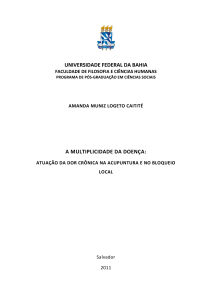 UNIVERSIDADE FEDERAL DA BAHIA A MULTIPLICIDADE DA