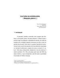 CULTURA DA ACEROLEIRA ( Malpiglia glabra L.)