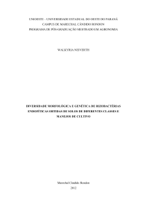 Tabela 3. Média de unidades formadoras de colônias