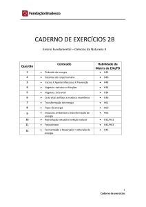 caderno de exercícios 2b