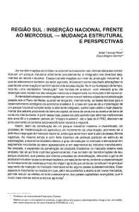 REGIÃO SUL : INSERÇÃO NACIONAL FRENTE AO MERCOSUL