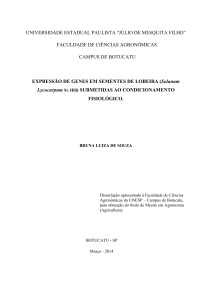 EXPRESSÃO DE GENES EM SEMENTES DE LOBEIRA (Solanum