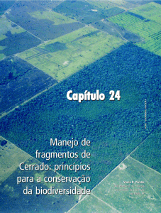 Capítulo XXIV - Ministério do Meio Ambiente