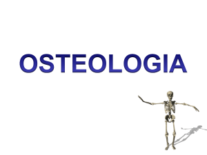 Osteologia - WordPress.com