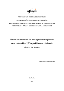 Efeitos antitumorais da naringenina complexada com cobre (II) e 2,2