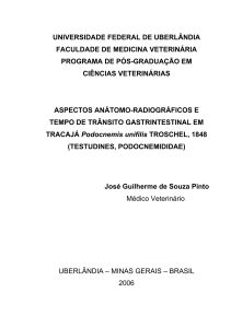 universidade federal de uberlândia faculdade de medicina