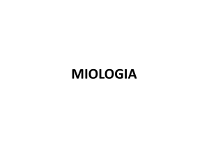MIOLOGIA