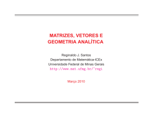 Matrizes, Vetores e Geometria Analítica [R.J. Santos/pdf].
