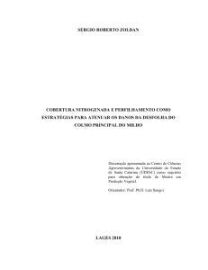 Cobertura nitrogenada e perfilhamento como - udesc