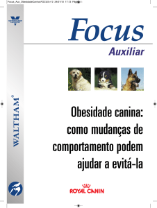 Obesidade canina - Clínica Veterinária Dra. Dóris Bruder