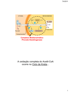 A oxidação completa do Acetil-CoA ocorre no Ciclo de Krebs
