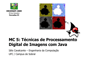 é MC 5: Técnicas de Processamento Digital de Imagens