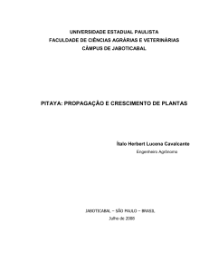 pitaya: propagação e crescimento de plantas