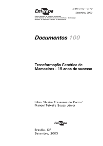 Transformação genética de mamoeiros: 15 anos de - Infoteca-e