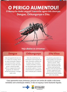 Cartaz_Aedes aegypti-19-11