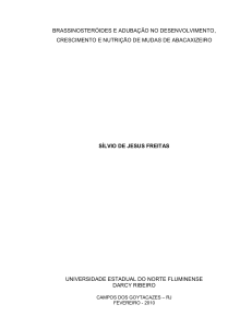 brassinosteróides e adubação no desenvolvimento