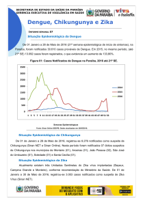 Dengue, Chikungunya e Zika