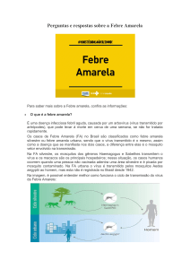 Perguntas e respostas sobre a Febre Amarela