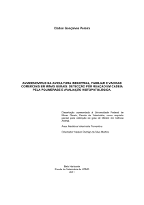 Aviadenovirus na avicultura industrial, familiar e vacinas comerciais