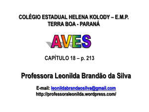 Aves - Professora Leonilda