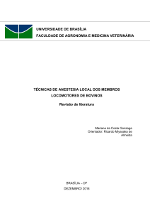 TÉCNICAS DE ANESTESIA LOCAL DOS MEMBROS - BDM