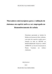 Marcadores microscópicos para a validação de sintomas em