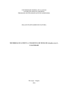 Micorrização aumenta a tolerância de mudas de Jatropha Curcas L