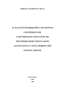 AVALIA&Ccedil;&Atilde;O NEUROQU&Iacute;MICA DO SISTEMA COLIN&Eacute;RGICO DE