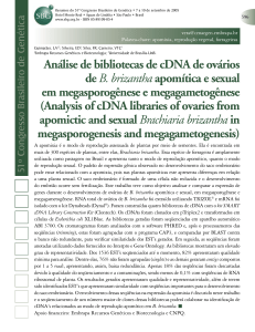 Análise de bibliotecas de cDNA de ovários de B. brizanthaapomítica