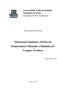 Informação Quântica: Efeitos da Temperatura Utilizando a