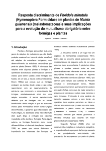 (Hymenoptera Formicidae) em plantas de Maieta guianensis