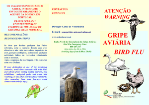 GRIPE AVIÁRIA BIRD FLU