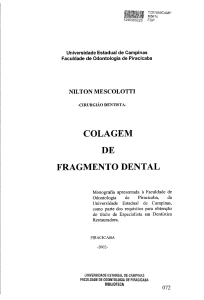 colagem de fragmento dental - Biblioteca Digital da Unicamp