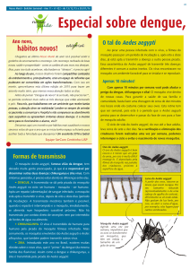 Especial sobre dengue,