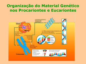 Organização do Material Genético nos Procariontes e Eucariontes