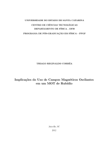 Implicações do Uso de Campos Magnéticos Oscilantes - udesc