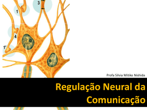 Regulação Neural da Comunicação - IBB