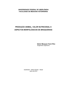 produção animal, valor nutricional e aspectos morfológicos de