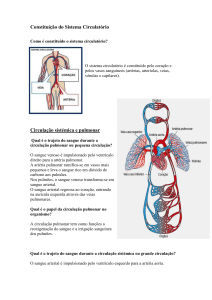 Constituição do Sistema Circulatório Circulação sistémica e pulmonar