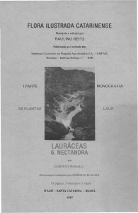 LAURÁCEAS (Nectandra) - Herbário "Barbosa Rodrigues"