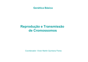 Reprodução e Transmissão de Cromossomos