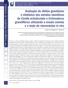 Avaliação de efeitos genotóxico e citotóxico dos extratos etanólicos