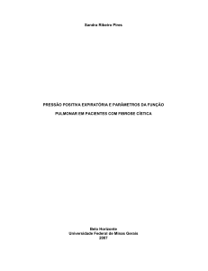 Sandra Ribeiro Pires PRESSÃO POSITIVA - eeffto