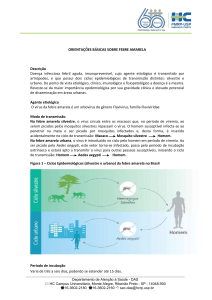 Orientações sobre Febre Amarela janeiro/2017